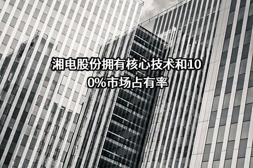 湘潭电机股份有限公司