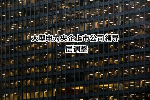 大型电力央企上市公司领导层调整