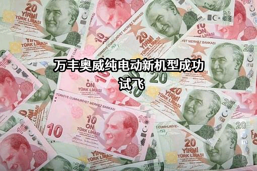 浙江万丰奥威汽轮股份有限公司