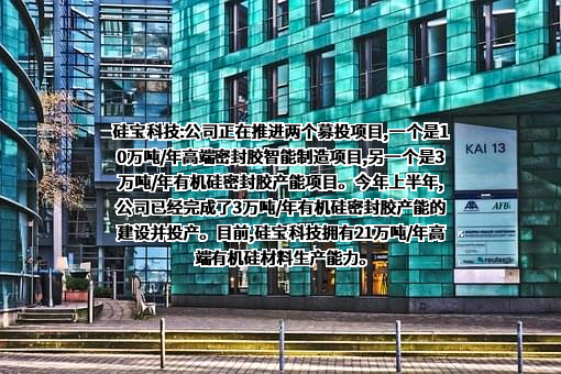 成都硅宝科技股份有限公司