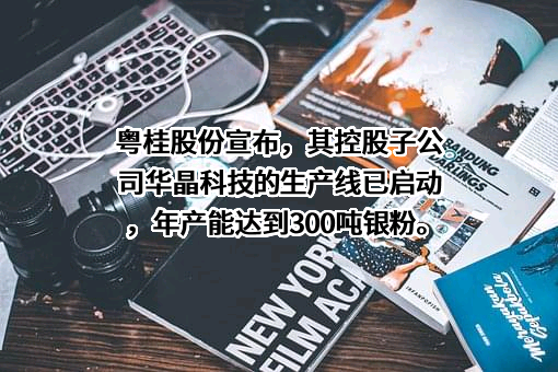 广东广业华晶科技有限责任公司
