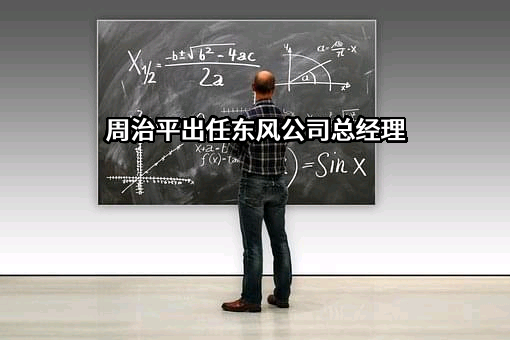 深圳东风汽车有限公司
