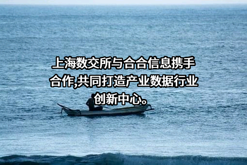 上海合合信息科技股份有限公司