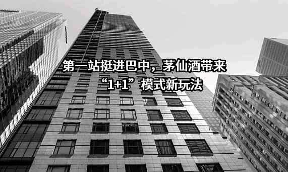 巴中市大正品商贸有限责任公司