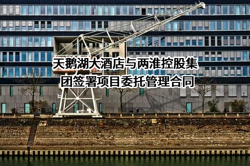 安徽两淮控股集团有限公司