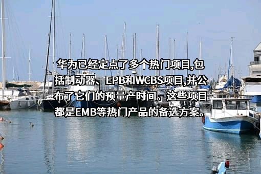 芜湖伯特利汽车安全系统股份有限公司