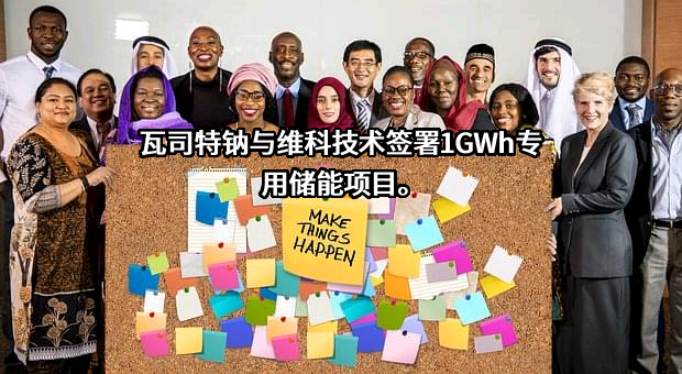 浙江瓦司特钠科技有限公司