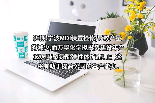 万华化学集团股份有限公司