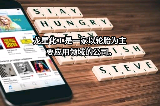 龙星化工股份有限公司