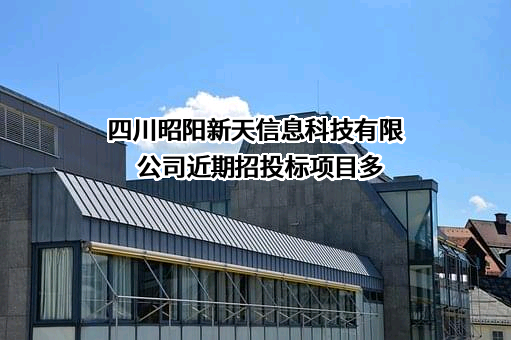 四川昭阳新天信息科技有限公司近期招投标项目多