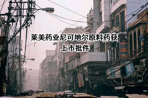 重庆莱美药业股份有限公司