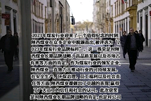 陕西煤业股份有限公司