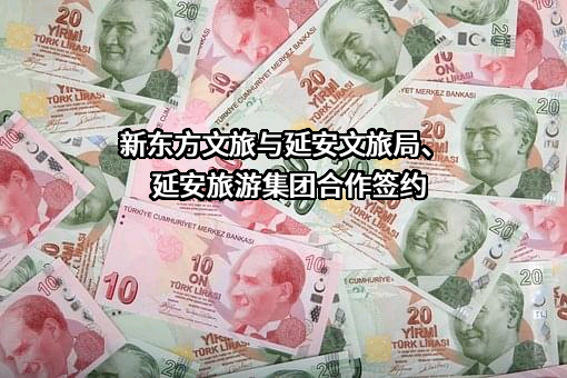 延安旅游（集团）有限公司
