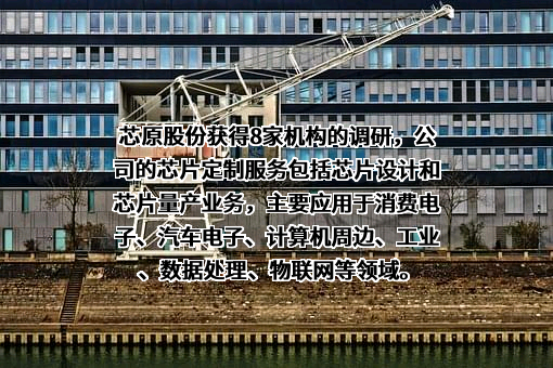 芯原微电子（上海）股份有限公司