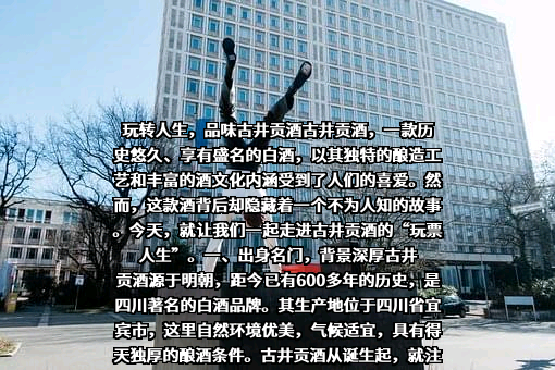 安徽古井集团有限责任公司