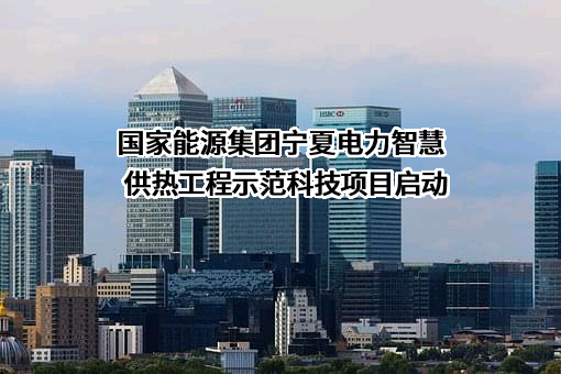 国家能源集团宁夏电力有限公司
