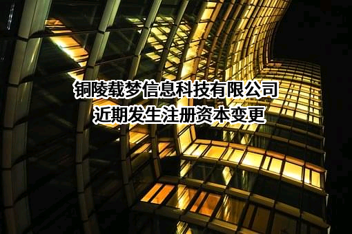 铜陵载梦信息科技有限公司