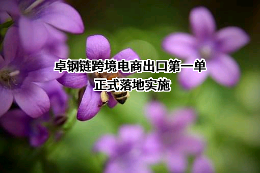 上海卓钢链电子商务有限公司