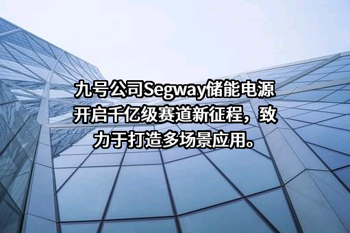 九号有限公司