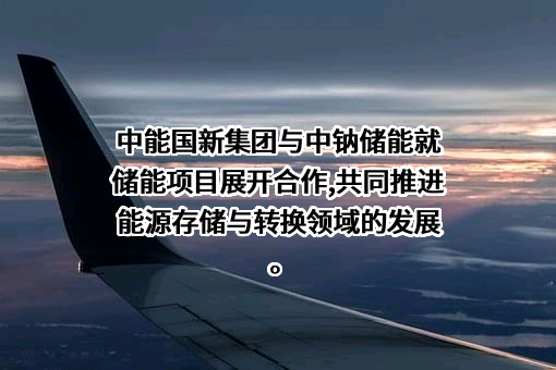 中钠储能新能源科技（甘肃）有限公司