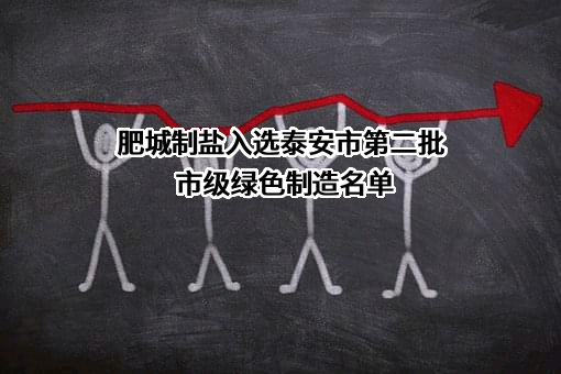 山东肥城精制盐厂有限公司
