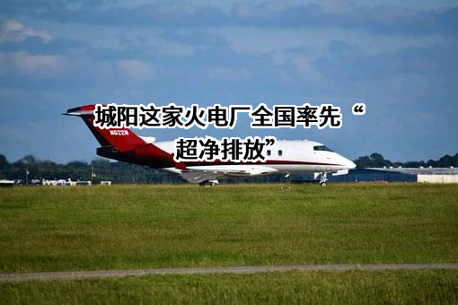 青岛顺安热电有限公司