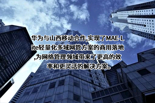 华为技术有限公司