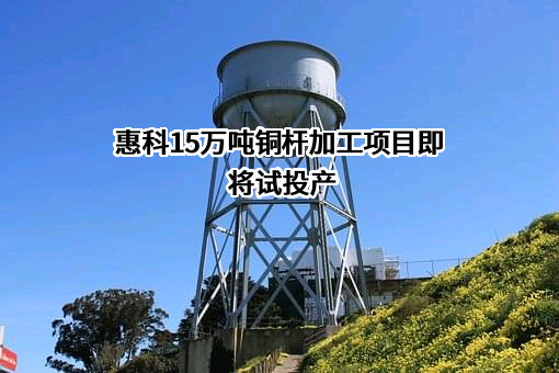 广西惠铜新材料科技有限公司