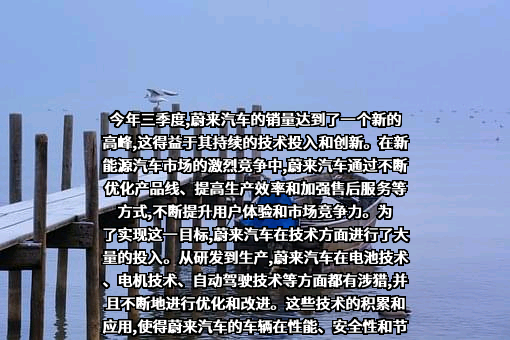 上海蔚来汽车有限公司