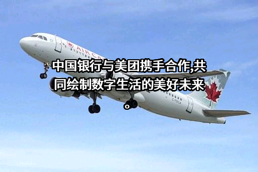 中国银行股份有限公司