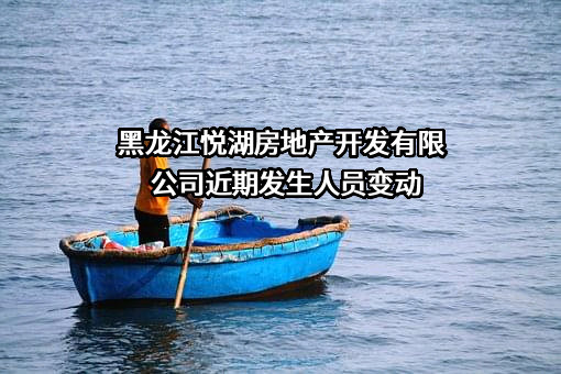 黑龙江悦湖房地产开发有限公司