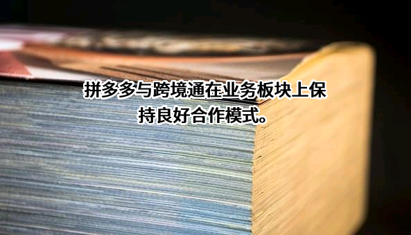 上海寻梦信息技术有限公司
