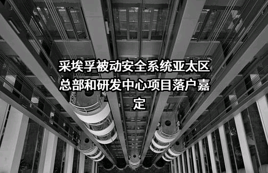 采埃孚（中国）投资有限公司