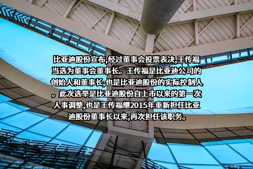 比亚迪股份有限公司