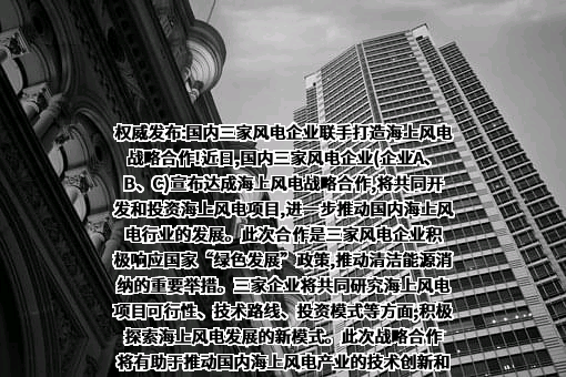 国电电力发展股份有限公司