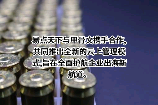 甲骨文（中国）软件系统有限公司