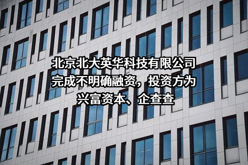 北京北大英华科技有限公司