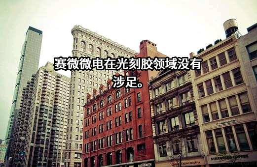 广东赛微微电子股份有限公司