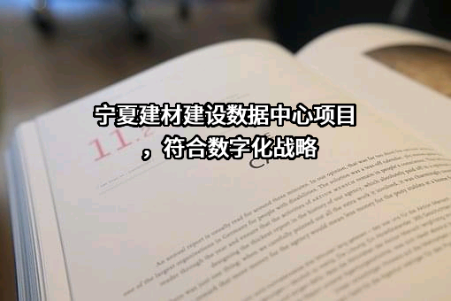 宁夏建材集团股份有限公司