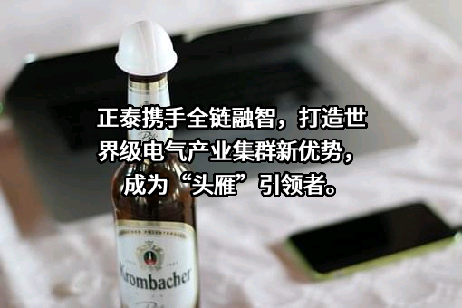 正泰集团股份有限公司
