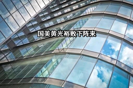 国美真快乐电子商务有限公司
