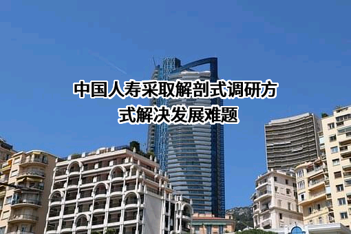 中国人寿保险（集团）公司