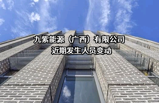 九紫能源（广西）有限公司