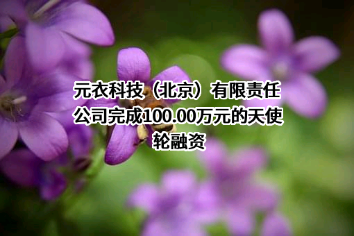 元衣科技（北京）有限责任公司