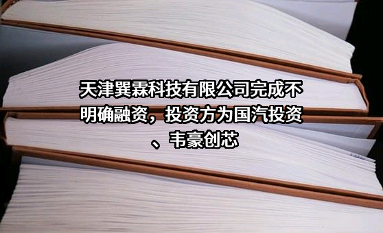 天津巽霖科技有限公司