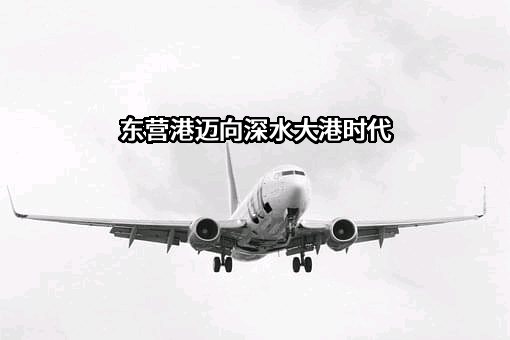 东营港有限责任公司