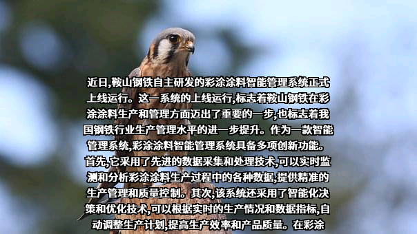 鞍山钢铁冶金炉材科技有限公司