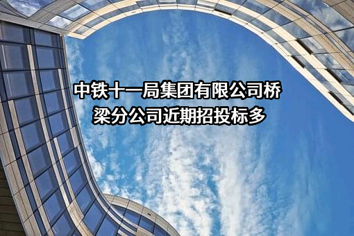 中铁十一局集团有限公司桥梁分公司近期招投标项目多