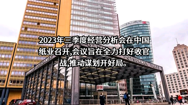 中国纸业投资有限公司