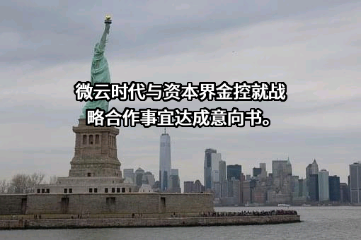 微云时代科技有限公司